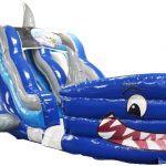 Shark 1aaa